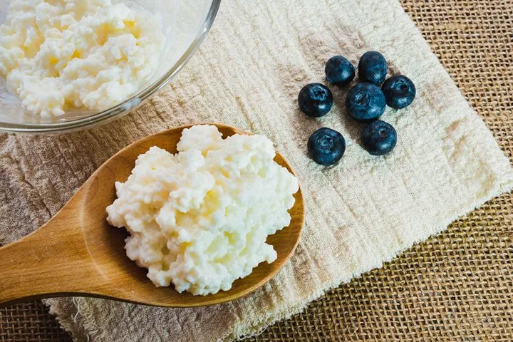 Kefir grains on a wooden spoon with blueberries