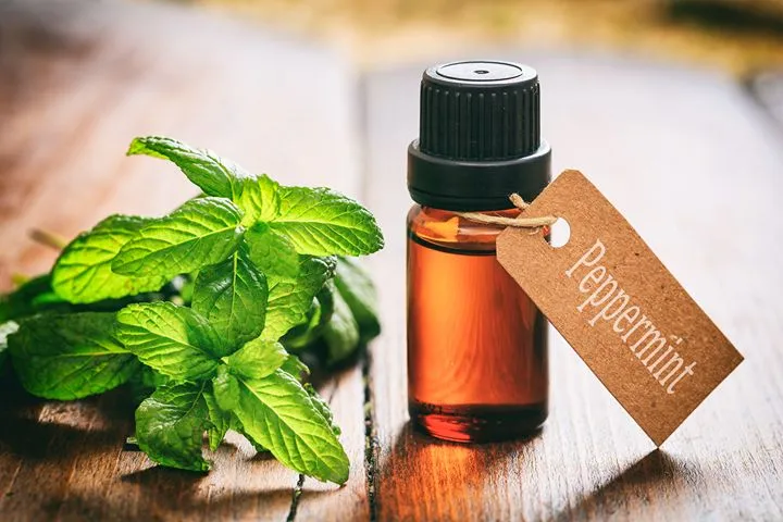 Peppermint oil capsules for IBS